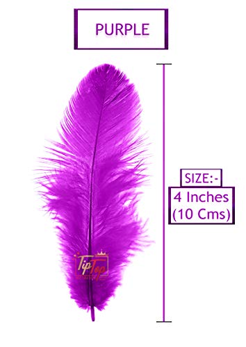 Image of Natural Dyed Feathers 10 cm (80 pieces) (Purple)