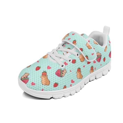 HELLHERO Boys Girls Sneakers Kids Tennis Running Shoes Capybara Sneakers Slip on Walking Shoes Athletic Sport Gym Training Shoes Flat Footwear Outdoor Sports Tennis