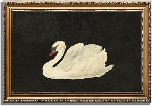 KBKBART Vintage Framed Wall Art for Living Room, White Swan