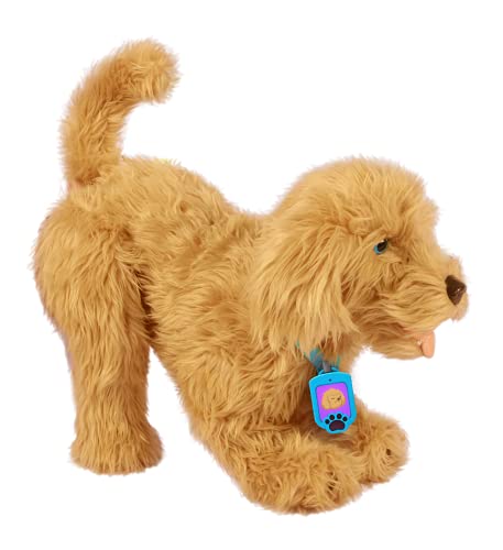 Joy Toy Moji, il grande cucciolo di Labradoodle