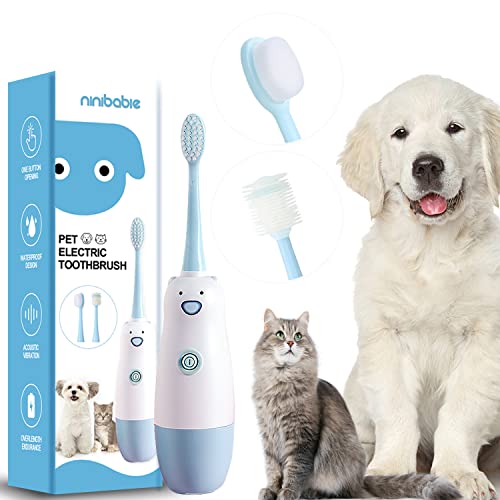 10 Best Dog Electric Toothbrush