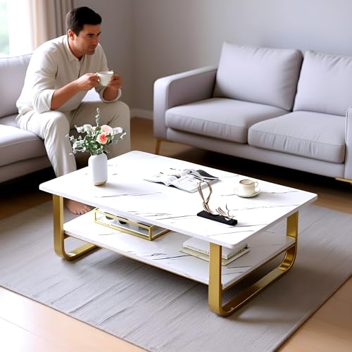 Image of Engineered Wood Coffee Table with Metal Base & 2 Tier Storage | Modern Rectangle Center Table for Living Room Sofa Set | Easy DIY Assembly (90 x 48 x 48 cm) (P-whita)