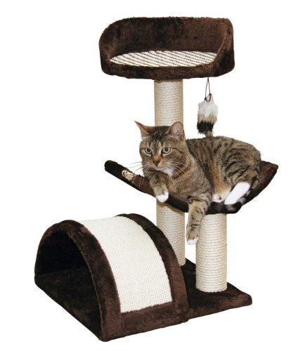 Kerbl Pet Kratzbaum SAFARI XL 46x59x83 dunkelbraun mit Borte