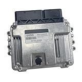 39104-02090 3910402090 Car Engine Computer Board ECU Electronic Control Unit 0099 MG17.9.12，Compatible for Hyundai