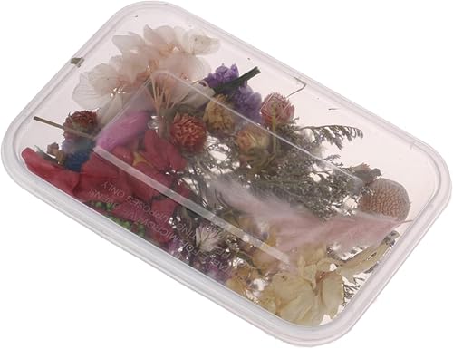Accesorios para manualidades con flores secas y colgantes miniatura 5