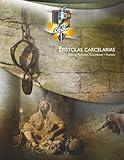 Ep&Atilde;&shy;stolas carcelarias: Efesios, Filipenses, Colosenses y Filem&Atilde;&sup3;n (Spanish Edition)