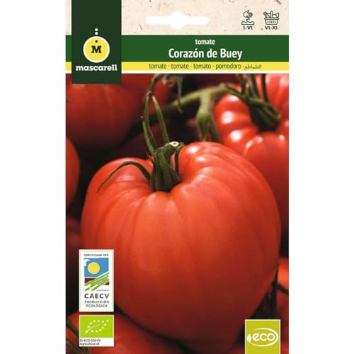 Mascarell Semillas, TOMATE CORAZÓN DE BUEY, Semillas Ecológicas, 0,5 Gramos