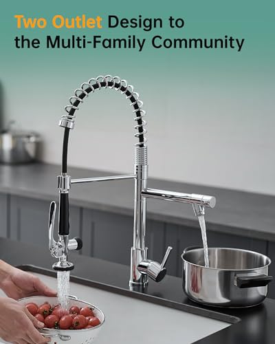 Image of Fapully Chrome Kitchen Faucet with Sprayer,Commercial Faucet