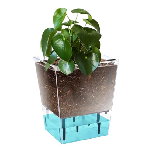 Macetas de autorriego para plantas de interior, maceta de autorriego de 5.9 pulgadas, transparente, jarrón visible para el hogar con depósito profundo, macetas decorativas para rosa, violeta africana,