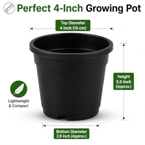 Image of Indian Gardens - 4 inch Indoor (Pack of 10) Plastic Small Colour pots | Plastic Plant Pot for Terrace Garden (Black)