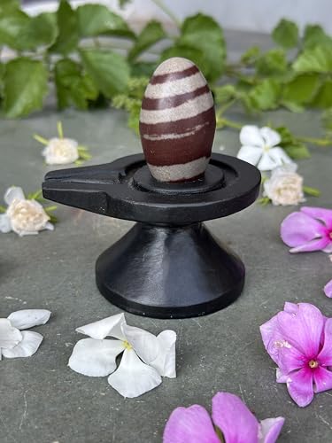 Image of Shivam VASTU AKAL 1.5 inch Original Narmadeshwar Narmada Shivling with 3 inch Narmada Stone Yoni Base Jaladhari (Janeudhari Shivling, Black Damtu Jaladhari)