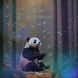  Piloto Automático