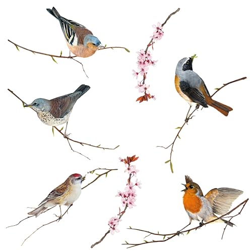 Komar Fenstersticker Vögel - Birds - 2 Bogen in der Größe 31 x 31 cm - Fensteraufkleber, Fensterdeko, Fensterfolie, Blaumeise, Kohlmeise, Rotkehlchen, Gartenvögel, gegen Vogelschlag