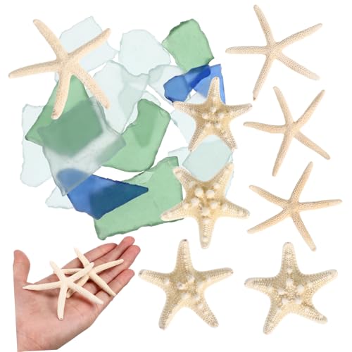 Dulcicasa V[OX j r[`OX H|ip ԕrlߍ  C̑i C݃e[ufR[V KX ANAEARȕ lȐF fR[Vf ܂܂ȃV[