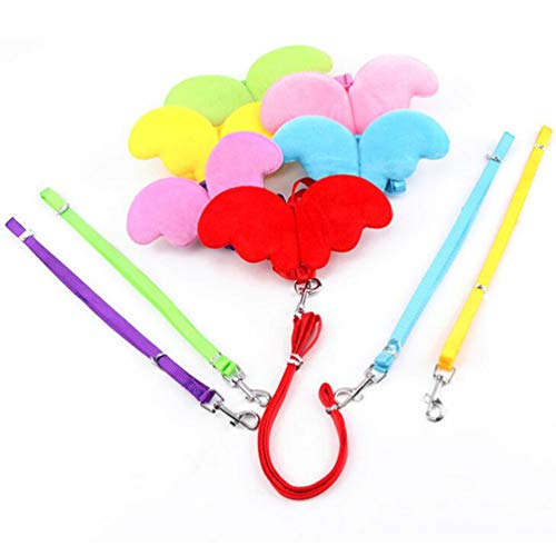 Balacoo Small Animal Harness Safety Walking Vest and Leash Set - Adorable Angel Wings Design Adjustable Leashes Comfort… - Image 8