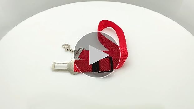Cintura Di Sicurezza Per Cane In Auto - Guinzaglio Regolabile In Nylon - Per Cani Di Tutte Le Taglie