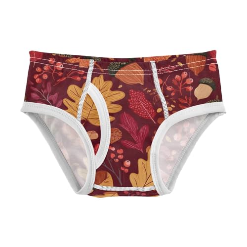 Dussdil Boy's Underwear Boys Briefs Toddler Cotton Training Underwear 2-6t