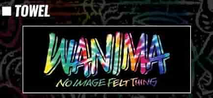 WANIMA - WANIMA カミナッチャ ライブ パーカー WANIMA - WANIMA パーカー カミナッチャ WANIMA - WANIMA