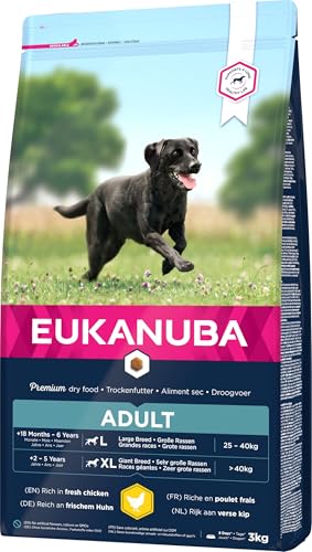 Eukanuba Hundefutter mit frischem Huhn für große Rassen, Premium Trockenfutter für ausgewachsene Hunde, 3 kg
