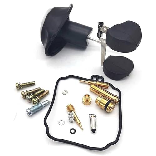Kit carburateur pour XV250 anti-fuite avec flotteur et joint piston de moto
