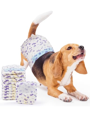 Image of MICOOYO Disposable Dog Diapers Female, Doggie Diapers for Dogs Female, Super Absorbent Pet Diaper with Foam Tail Hole for Heat, Comfortable Puppy Diaper (Medium, 40Count)
