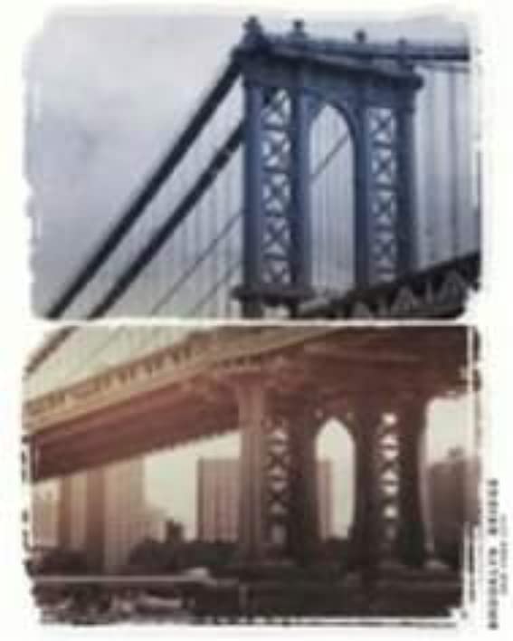 GicosImport Export Quadro Won 40x50x1.5 cm 834882, As shown