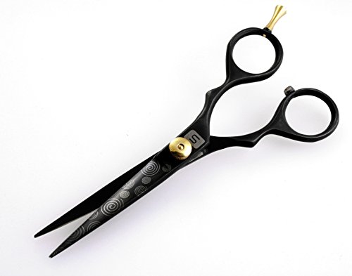 Professional Hair Scissors, Eye Catching Details on the Blades - Black - 5.5 inch…