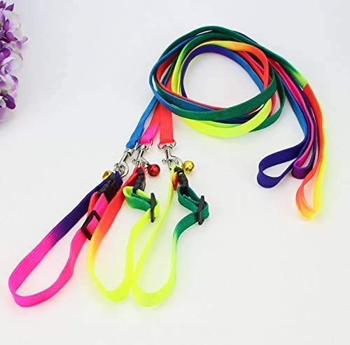 D&C Paws Rainbow Adjustable Cat Collars with Bell Quick Release Safety Buckle for Kitty Rabbit Small Animals (Pack of 1) (B08Z49BZ9X) Amazon Price History, Amazon Price Tracker