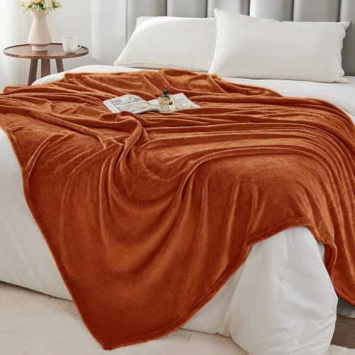 Image of BEDELITE Fleece Blanket Soft Plush Throw for Couch Terracotta 50 inchx60 inch