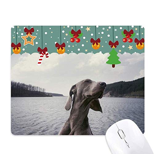 Tapete de ratón gris de perro para juego y escritorio, un regalo de Navidad