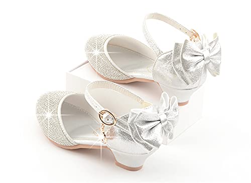 Toddler/Little/Big Girls Dress Shoes Mary Jane Flower Girl Low Heels Shoes for Wedding Party 55014