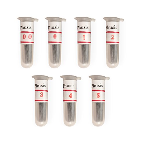 Phusis Stainless Steel Insect Pins - Set of 100 Insect Pins of Each Size (#00, 0, 1, 2, 3, 4, 5) - for Entomology, Dissection and Butterfly Collections…