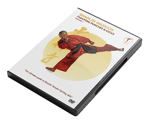 Shaolin Warrior - Fighting Punches And Kicks