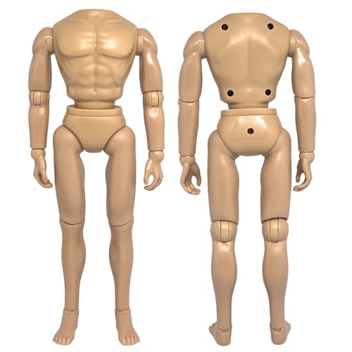 Set de 5 cuerpos articulados masculinos 1/6 12 pulgadas miniatura 3