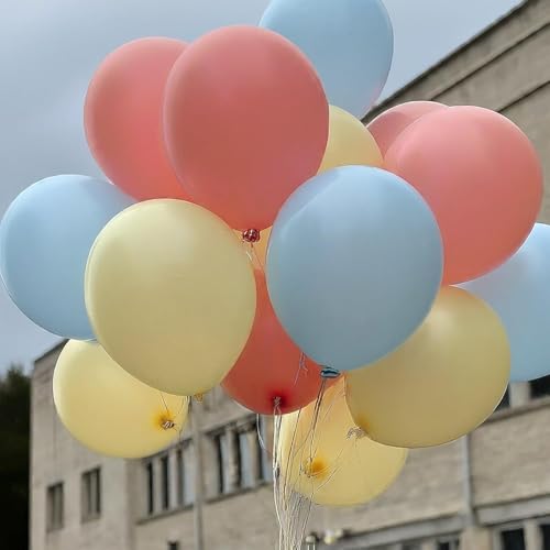 Image of Regular Balloon Combo For Decoration with Glue Dots & Balloon Arch Strip - Party Decor Set For Easy Party Setup (RED BLUE YELLOW, 50)