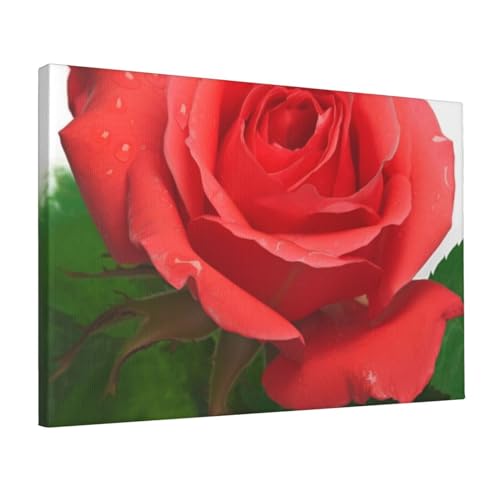 Toile murale de roses supérieure décoration d'intérieur chic 30 x 45 cm