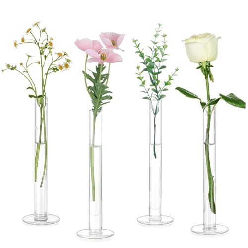 Glasseam Glass Bud Vase for Centerpieces, Small Flower Vases Set