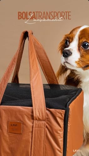 Bolsa Bag Para Transporte De Cães E Gatos Em Avião Confortável (32X35X23 Cm) (Preta)