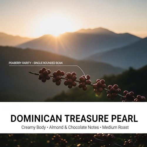 Dominican Treasure Pearl Peaberry Café en Grano 1 Lb miniatura 2