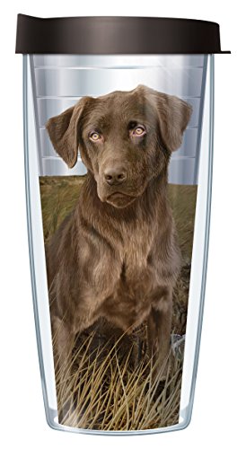Signature Tumblers Chocolate Lab in Field Wrap on Clear 22 Ounce Double-Walled Travel Tumbler Mug with Black Easy Sip Lid