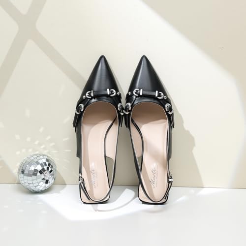 Image of Mostrin Kitten Heels for Women Pointed Toe Pumps Patent Leather Low Heel Slingback Heels with Buckle Dress Shoes for Dating Party Working