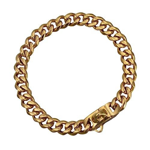 Collier en acier inoxydable or pour chien idéal pour la promenade - 2