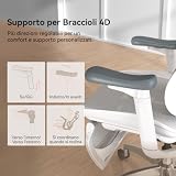 SIHOO Ergonomic Office Chair with Dynamic Lumbar Support, 3D Armrests & Adjustable Backrest, Footrest for Enhanced Comfort, Desk Chair for Home Office, Doro C300 - Black (Supports up to 150 kg) - 9