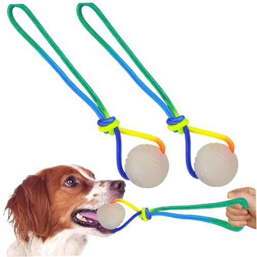 BEAHING 2 Stück im Dunkeln leuchtender Hundeball, 5, 1 cm großer, leuchtender Hundeball mit 29, 2 cm langem Seil, leuchtende Gummibälle, Spielzeug für kleine, große und mittelgroße Hunde, leuchtet