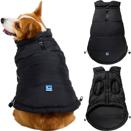 Patagonia Dog Jacket – The 15 best products compared - Wild Explained