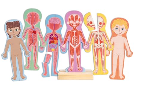 Hape Rompecabezas magnético del Cuerpo Humano