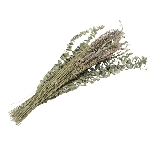 Set de hojas secas de eucalipto y tallos de lavanda miniatura 1