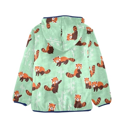 CHIFIGNO Cute Red Pandas Mint Toddler Boy Thick Soft Fleece Outerwear Jackets with Polar Fleece Lining 3T2