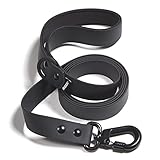 Barkbox Dog Leash (Large (1in. x 5ft.), Black)