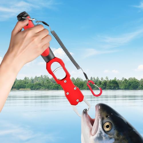 Pinza para peces con báscula de 18 kg y sujeción de labios de doble función para kayak 3